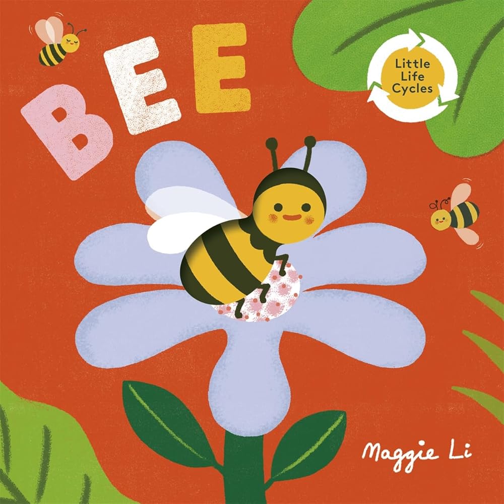 Little Life Cycles: Bee cover image